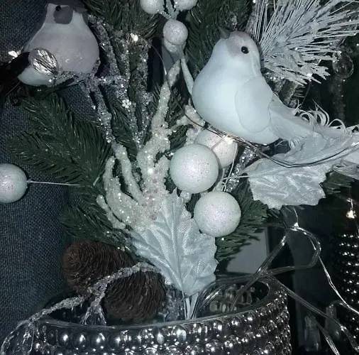 Center Διαμέρισμα *